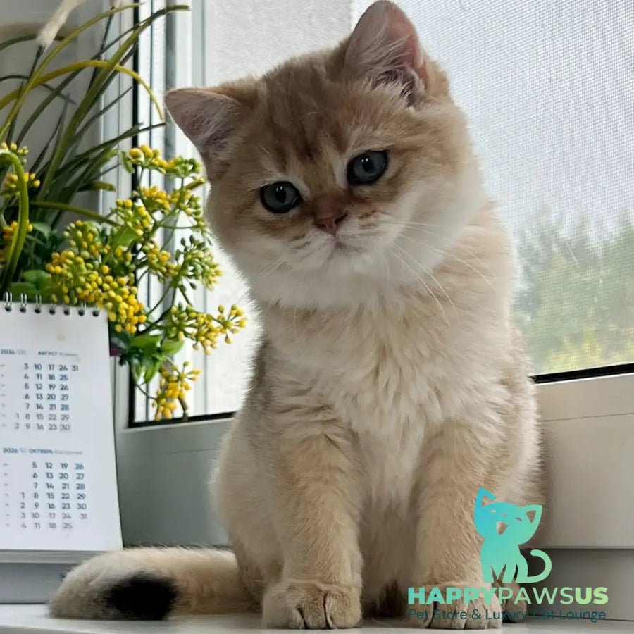 Zeus photo 1