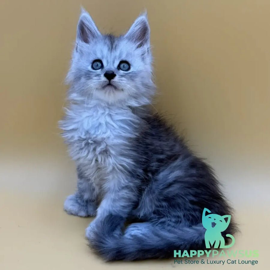 Hey jay polydactyl 6x6x6x6 photo 1