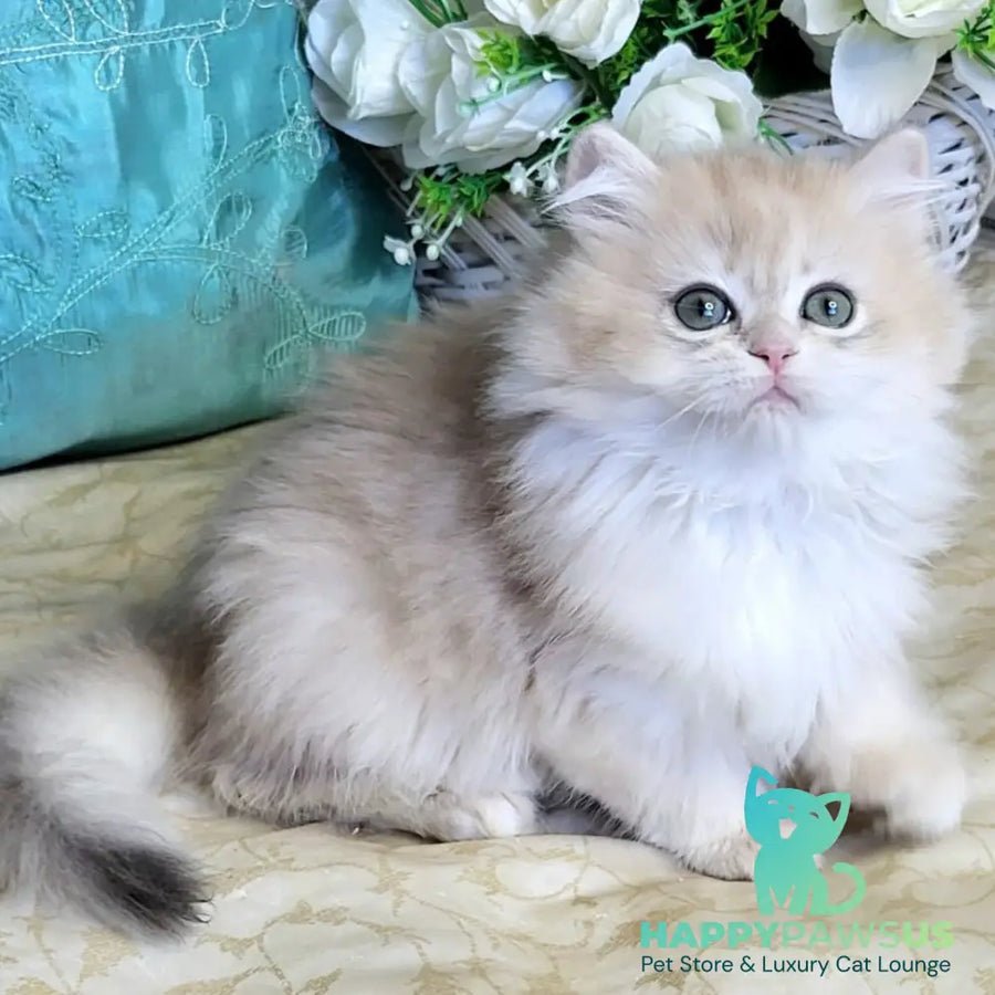 Zosya photo 1