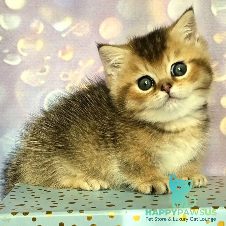 Bumble photo 1