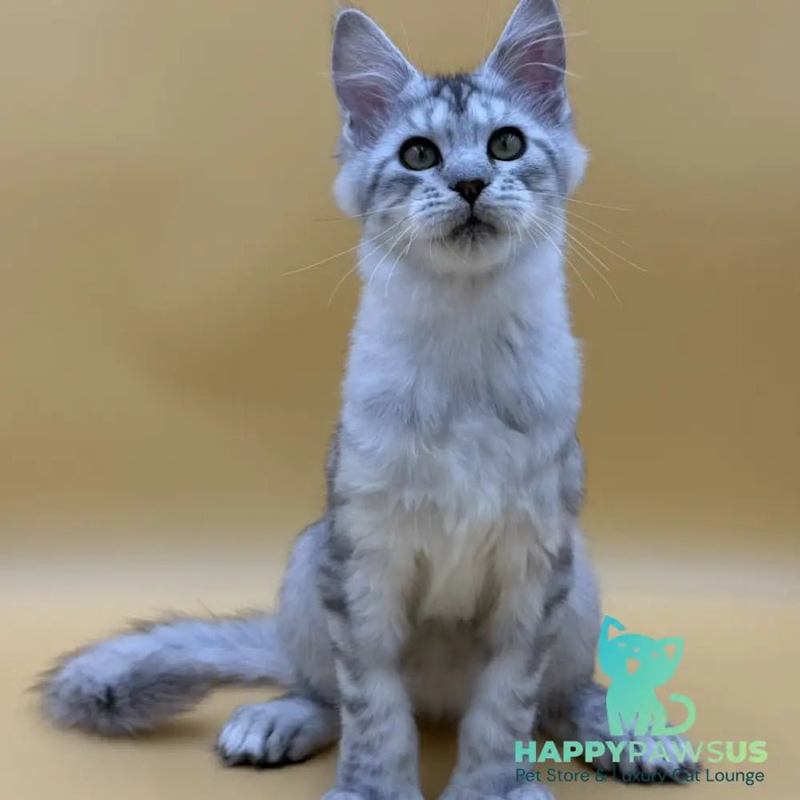 Michelina polydactyl 6x6x6x6 photo 1