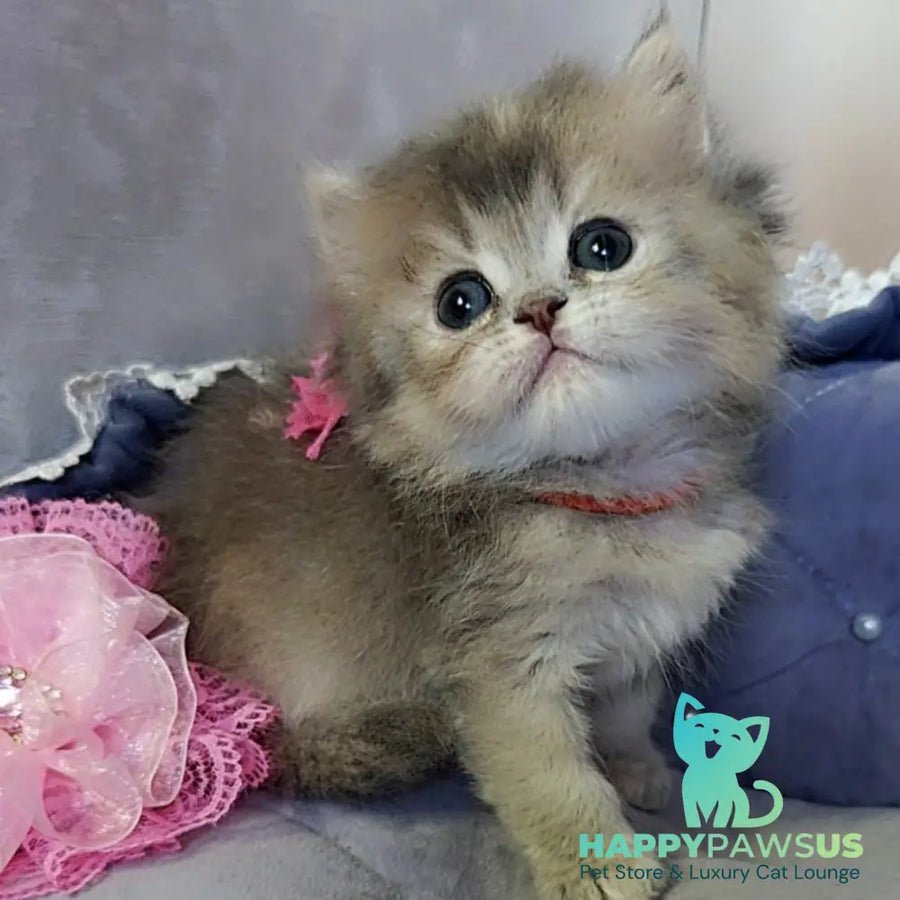 Tina photo 1
