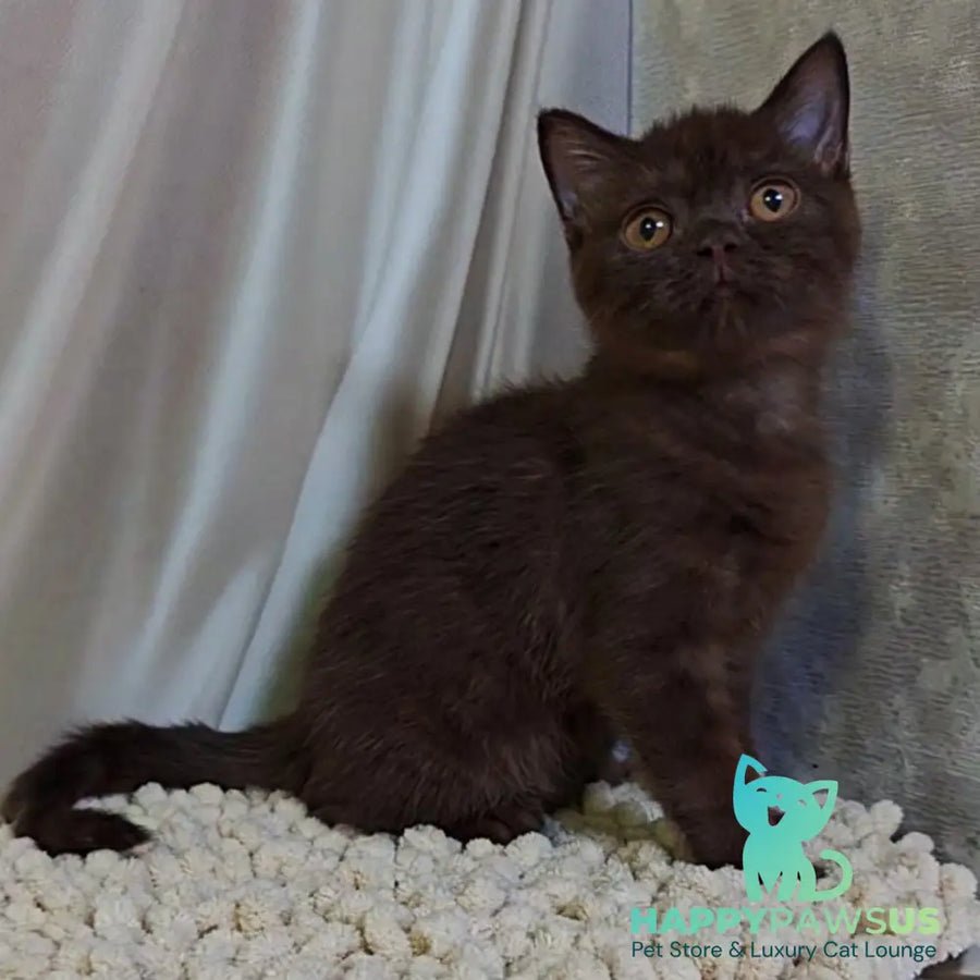 Jasper photo 1
