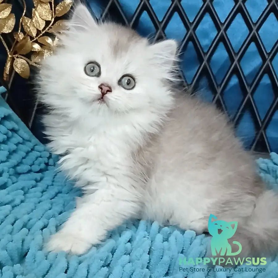 Vinsont photo 1