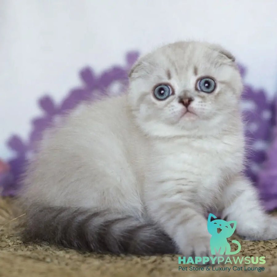Uty Puty photo 1