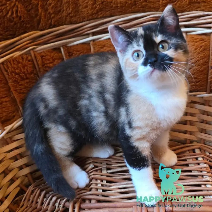 Betty photo 1