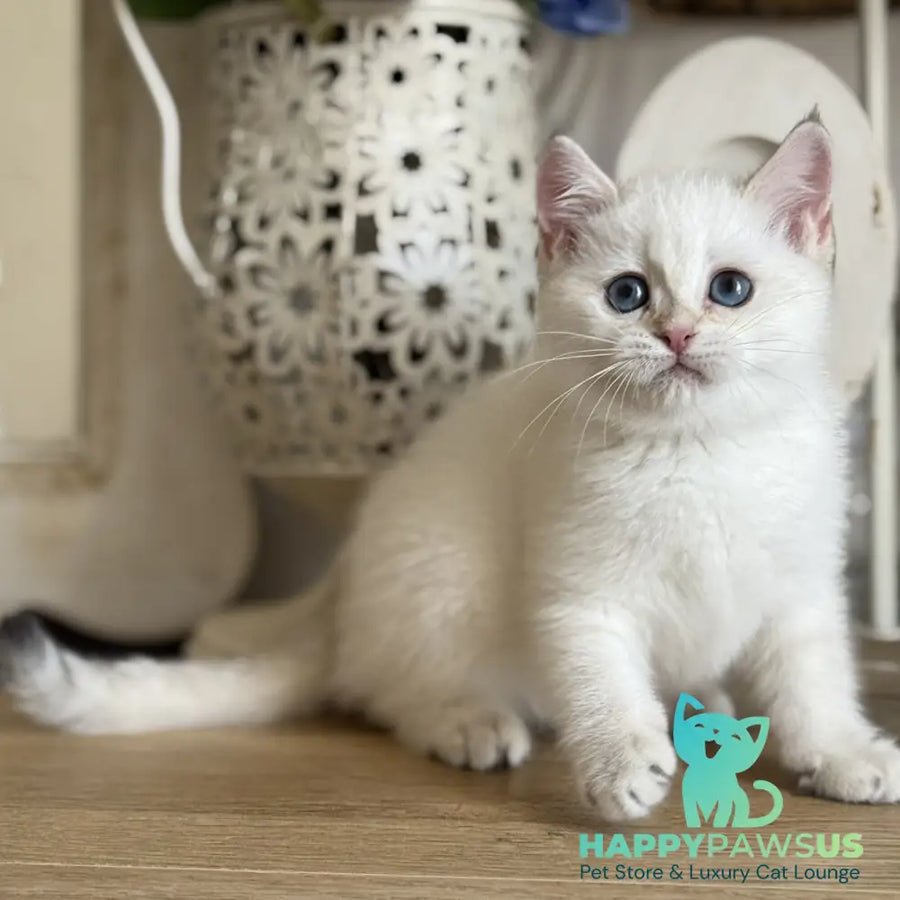 Maya photo 1