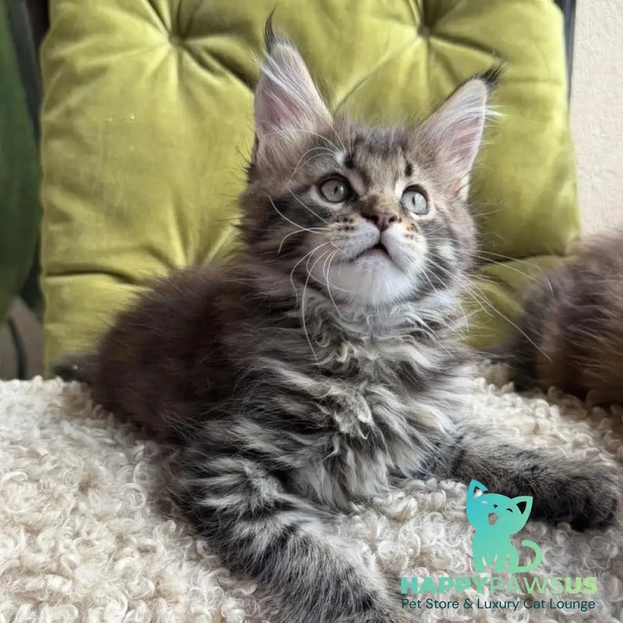 Ulfred photo 1