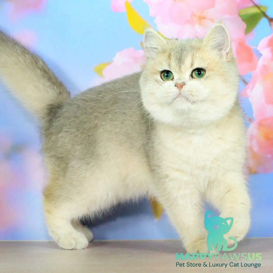 Princess photo 1